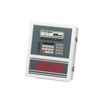 DigitalFlow GM868 Ultrasonik Gaz Debimetresi