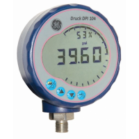 DPI 104 Dijital Referans Manometresi