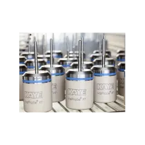 Kaye Valprobe RT Rigid sıcaklık sensörü